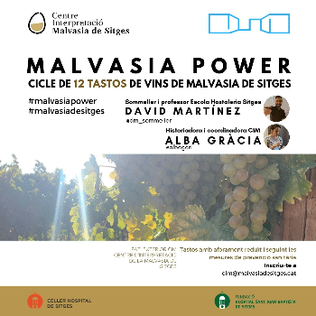 Malvasia Power_ tast 4/12 La criança de la Malvasia de Sitges