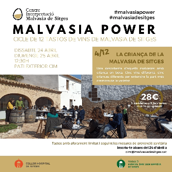 Malvasia Power_ tast 4/12 La criança de la Malvasia de Sitges