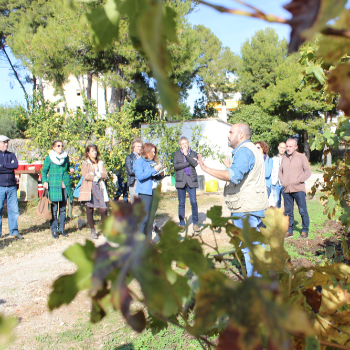 Un Mar de Malvasia