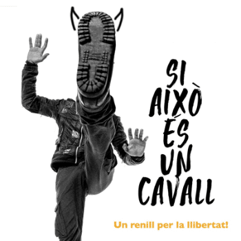 Si això és un cavall