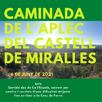 CAMINADA DE L'APLEC DEL CASTELL