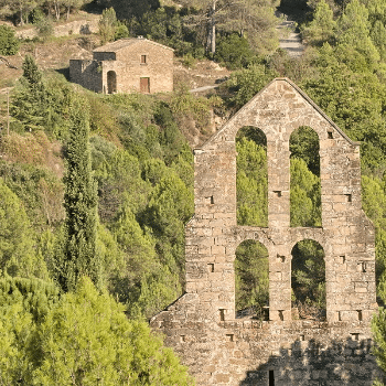 Pedra i natura a Sant Pere de Vallhonesta