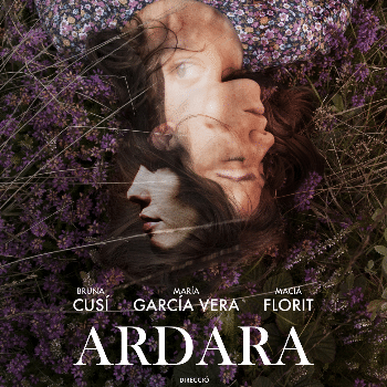 Ardara