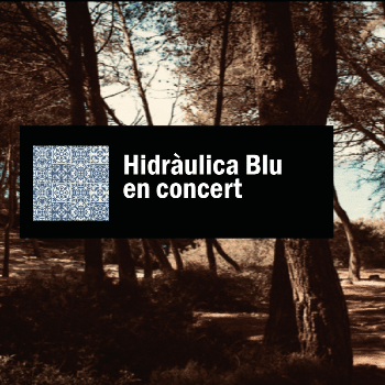 Hidràulica Blu en concert