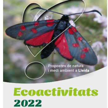 Ecodescoberta. Els ocells migradors del Parc de la Mitjana