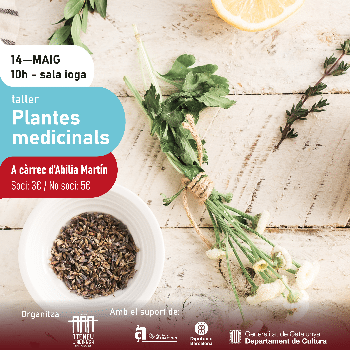 Taller de Plantes medicinals