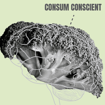 Taula rodona: comunitats de consum, comunitats de vida!