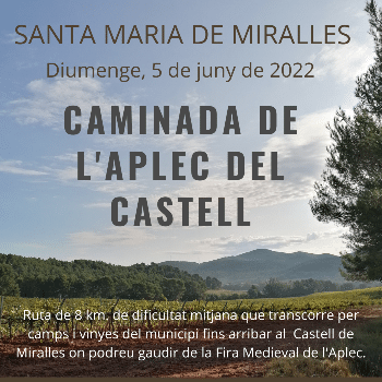 CAMINADA DE L'APLEC DEL CASTELL