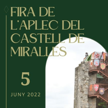 CAMINADA DE L'APLEC DEL CASTELL