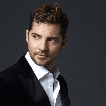 David Bisbal en Concierto