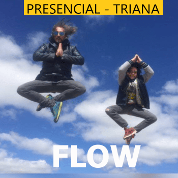 CURSO MINDFULNESS FLOW (PRESENCIAL - TRIANA)