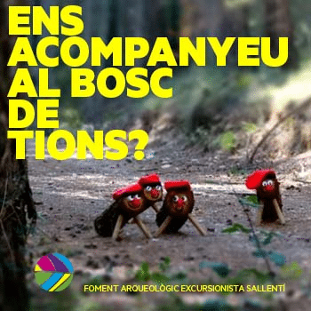 EL BOSC DELS TIONS