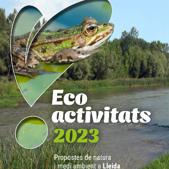 Taller + Biodiversitat. Invertebrats i artròpodes presents  a la ciutat  - Ecoactivitats 2023