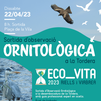 Sortida d'observació ornitològica a la Tordera [ECOVITA 2023]