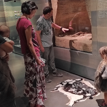 Vine en família al Museu de Lleida. Visita de la prehistòria a la Ilerda romana