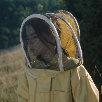 Cinema. 20.000 ESPECIES DE ABEJAS