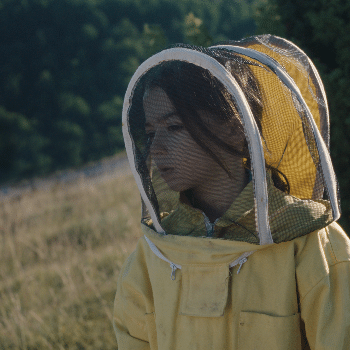 20.000 ESPECIES DE ABEJAS - CINEMA GAUDÍ