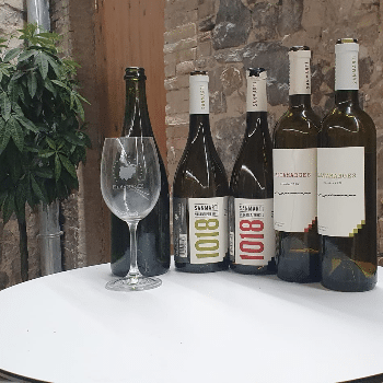 Maridatge de vins del Celler Sanmartí amb xocolates i fruites naturals