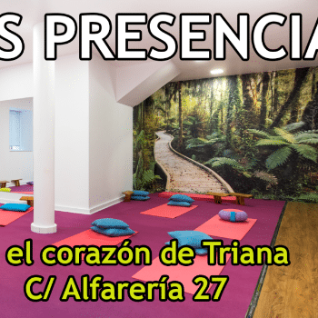 Encuentros de meditación en Triana (90 minutos de MINDFULNES, MEDITACIÓN Y SILENCIO)