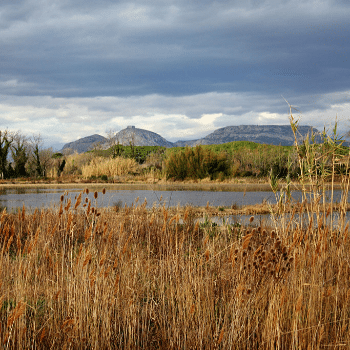 Volta en bicicleta pel Baix Empordà