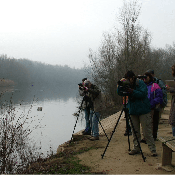 Taller +Biodiversitat. Cens d'ocells hivernants als espais humits de Lleida-  Ecoactivitats 2024