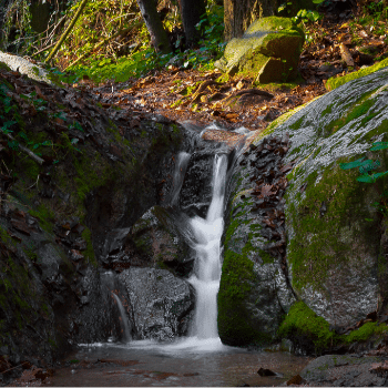 L'aigua no cau del cel