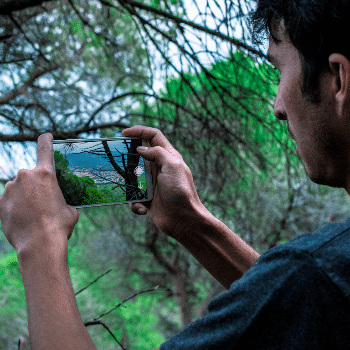 Iniciació a la fotografia de natura