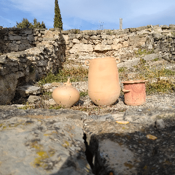 GEOPARC: Visita guiada al jaciment arqueològic del poblat ibèric del Cogulló de Sallent