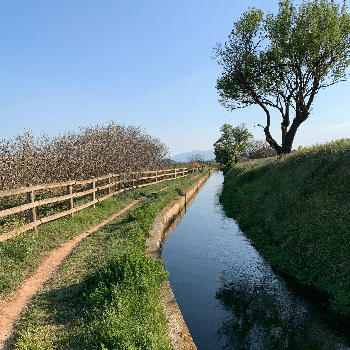 Itinerari de natura del Mas de les Coves