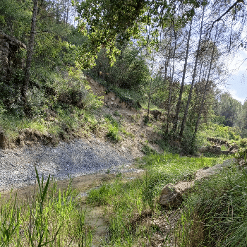 Llegim el riu - sortida de camp al torrent del Rubió