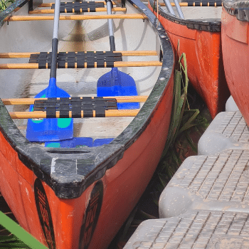 Vine a remar al Llobregat!