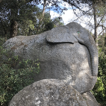 Ruta prehistòrica Roca V. i Bosc màgic Òrrius