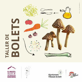 TALLER DE BOLETS