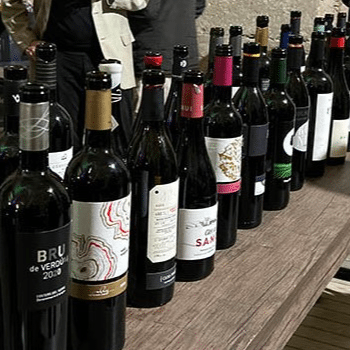 TAST DE VINS GUANYADORS DEL 2N CONCURS DO COSTERS DEL SEGRE