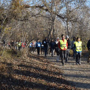 l'IMO Camina per la marató