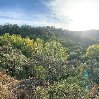 RETIRO MINDFULNESS y ALTA SENSIBILIDAD - FIN DE SEMANA - MINDFULNES, NATURALEZA Y SILENCIO - CORTECONCEPCION