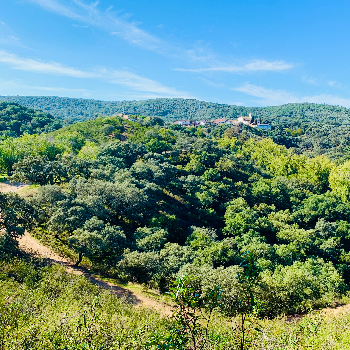 RETIRO MINDFULNESS y ALTA SENSIBILIDAD - FIN DE SEMANA - MINDFULNES, NATURALEZA Y SILENCIO - CORTECONCEPCION