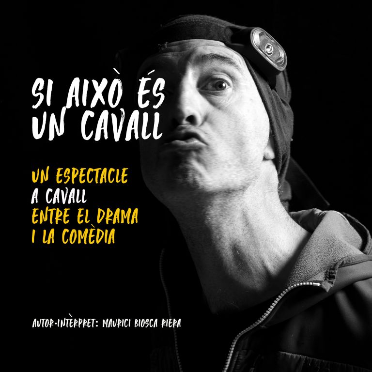 Si això és un cavall