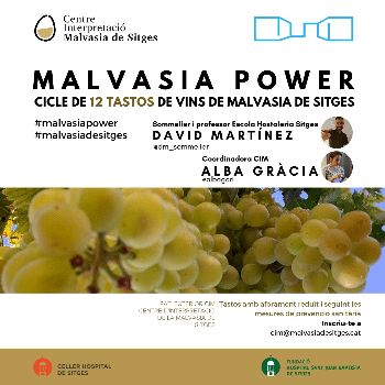 Malvasia Power: tast 2/12