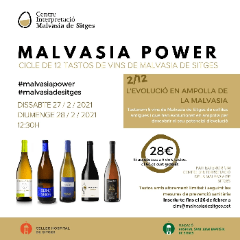 Malvasia Power: tast 2/12