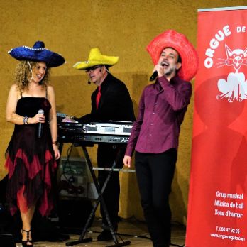 LA SAGRERA, un barri de PRIMAVERA: Espectacle musical amb ORGUE DE GATS