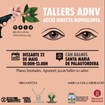 Taller ADNV ACCIÓ DIRECTA NOVIOLENTA - XR