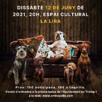 Teatre: Els Gossos de Nelson Valente amb Mercè Aránega