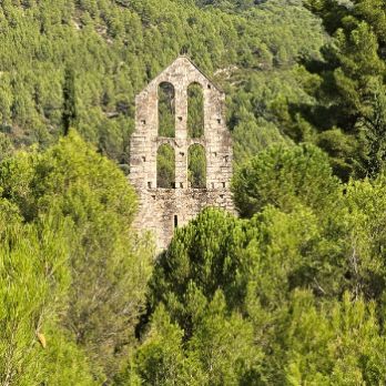 Pedra i natura a Sant Pere de Vallhonesta