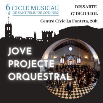 6è Cicle Musical de Sant Feliu de Codines. Jove Projecte Orquestral