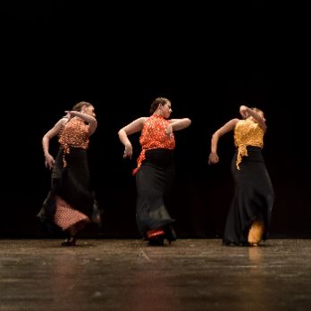 Savia - Ballet Endansa Dansa Espanyola