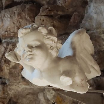 Tortosa desperta el patrimoni en 3D a la Catedral de Tortosa