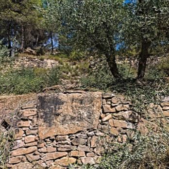 Descoberta de la pedra seca de la vall del torrent del Rubió