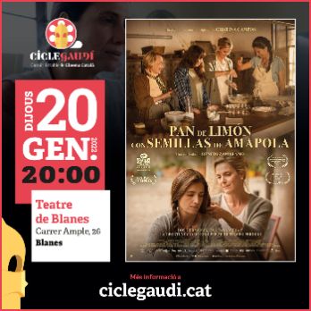 PAN DE LIMÓN CON SEMILLAS DE AMAPOLA // Circuit Estable de Cinema Català - CICLE GAUDÍ