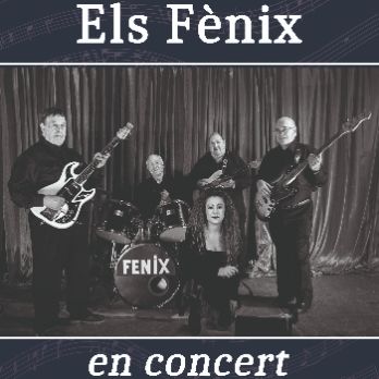 ELS FÈNIX en concert